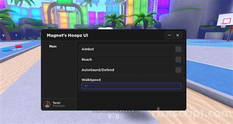 Hoopz Aimbot 的图像结果