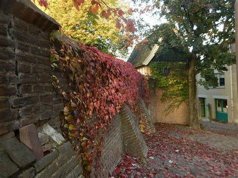 NIJMEGEN RUNNING TOURS (2026) All You Need to Know BEFORE Going (with ...
