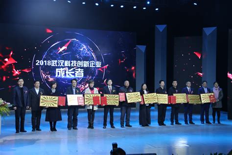 骄傲！2018年这些企业“领跑”武汉科技创新！ - 武汉市科学技术协会