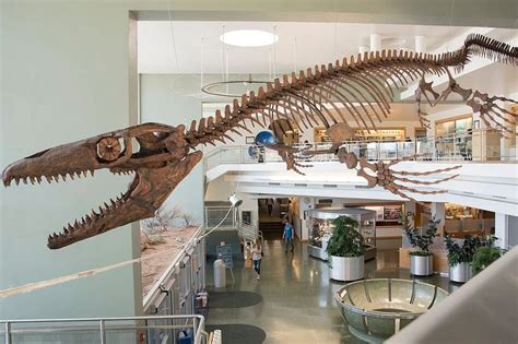 Reptile dubbed 'Jaws of Death' terrorized Cretaceous seas | ABS-CBN