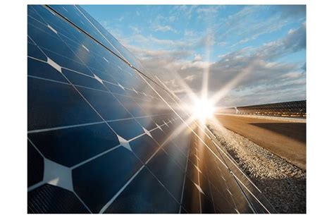 Building a robust EV ecosystem and a major market | Autocar Professional