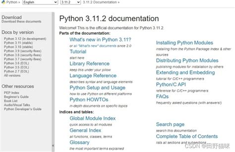 Docs.python Org 3.9 Tutorial 的图像结果