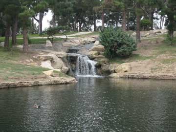 Parks Reservation Information | City of Costa Mesa