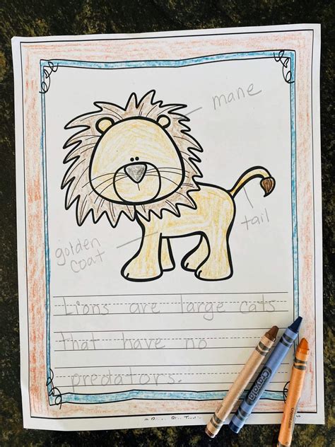 Informative Writing First Grade 的图像结果