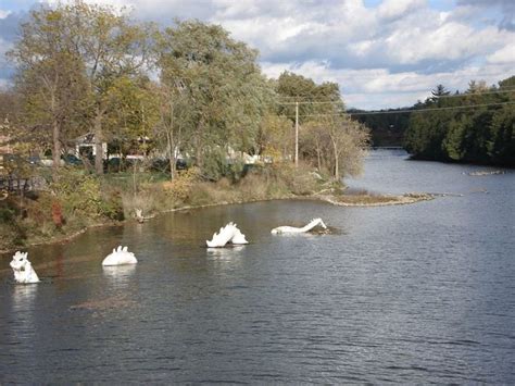 Elora Gorge, elora, Canada - Top Attractions, Things to Do & Activities ...