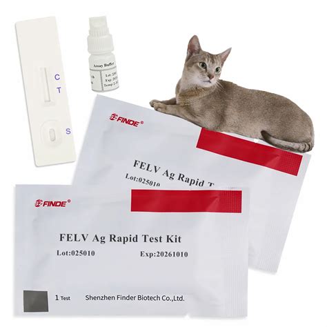 Feline Leukemia Virus Antigen Rapid Test Kit, FELV Ag Card Strip