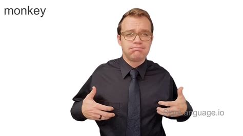 Monkeys Learning Sign Language 的图像结果