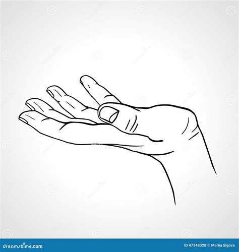 How to Draw a Front View of Hand 的图像结果