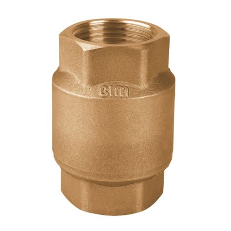 Image result for Clear Spring Check Valve