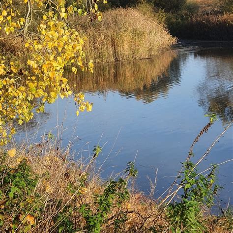 PARKHOTEL HITZACKER - Hotel Reviews, Photos, Rate Comparison - Tripadvisor