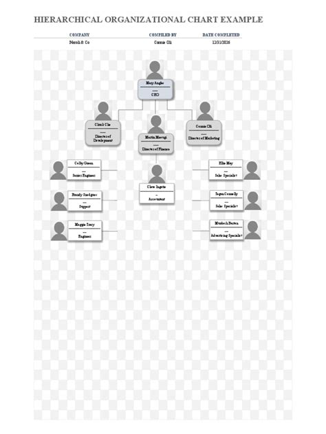 IC Hierarchical Organizational Chart Example 11367 | PDF | Business