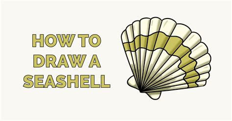 Seashell Drawing Tutorial 的图像结果