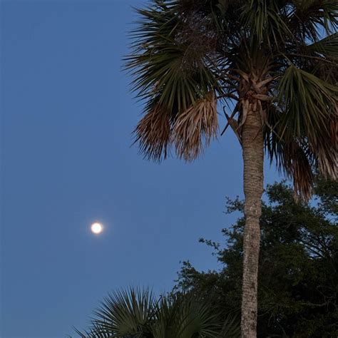 Indian Pass Campground | Port St. Joe, Florida
