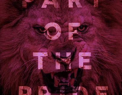 Image result for Avfc Goal Line Technology