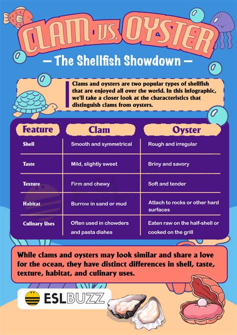 Clam vs. Oyster: A Guide to Choosing the Perfect Shellfish for Your ...