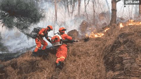 佛山高明山区火灾演练 广州55名消防员出动增援_手机新浪网