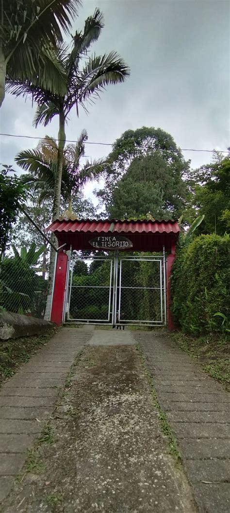 LA BAHIA JR (Circasia) - Inn Reviews & Photos - Tripadvisor