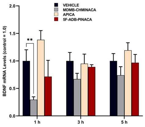 Timeframe Analysis of Novel Synthetic Cannabinoids Effects: A Study on ...