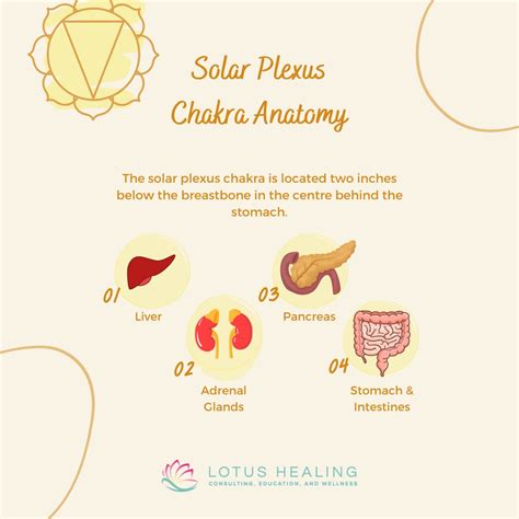 How to balance the solar plexus chakra | Lotus Healing posted on the ...