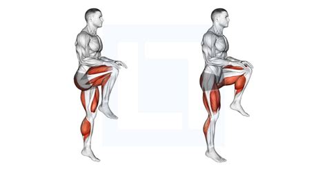 Image result for Lateral Step-Up Machine