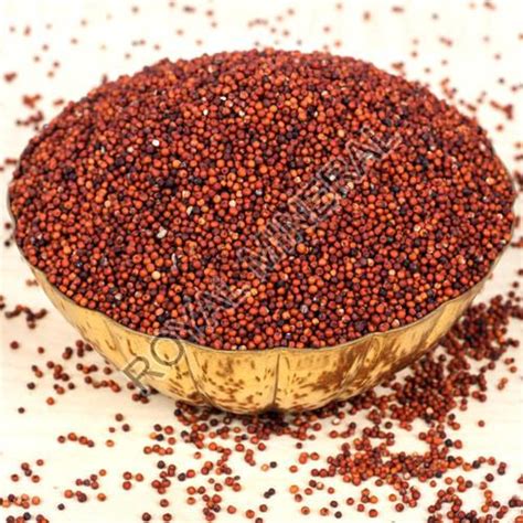 Red Millet Seeds Exporter,Red Millet Seeds Export Company from Kutch India