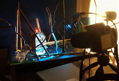 Image result for Forest Fire Project