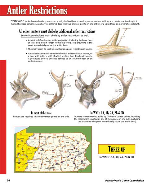 Pa Hunting Regulations