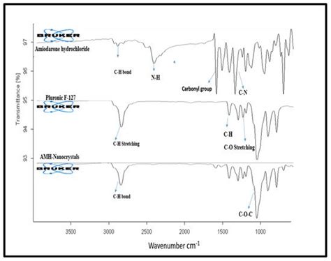 Nanocrytals-Mediated Oral Drug Delivery: Enhanced Bioavailability of ...