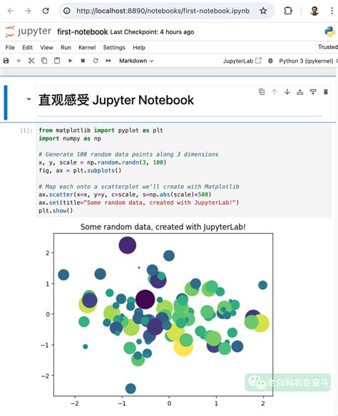 Python Notebook Terminology 的图像结果