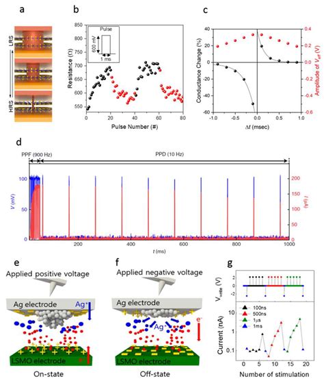 Ion-Movement-Based Synaptic Device for Brain-Inspired Computing ...