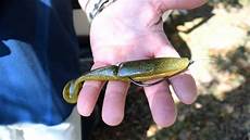 ez bid big ez swimbait in ez bid big ez swimbait in