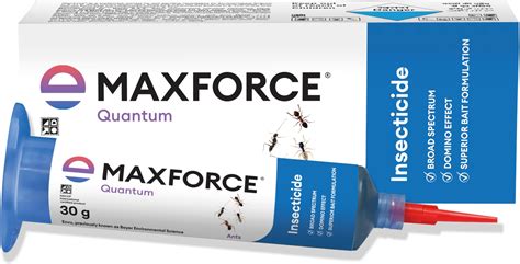 Terro Liquid Ant Killer Baits (6) : Amazon.in: Garden & Outdoors