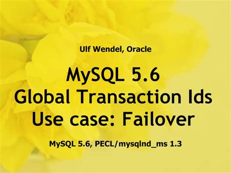 Image result for GITD MySQL Transaction
