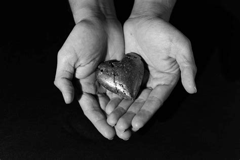 Image result for Basic Life Questions