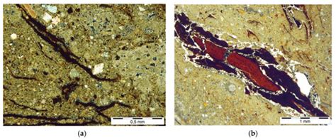 The Miocene Lacustrine Chalk from Lignite Bełchatów Deposit (Poland ...
