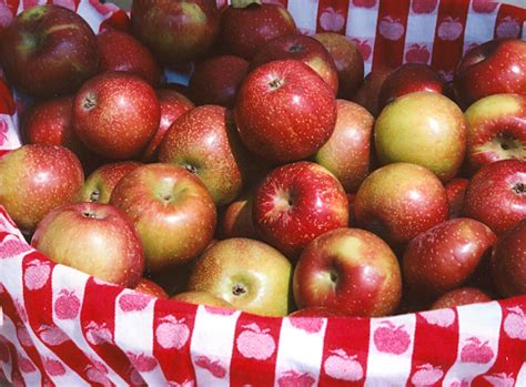 North Carolina Apple Festival | Visitors Information Center ...