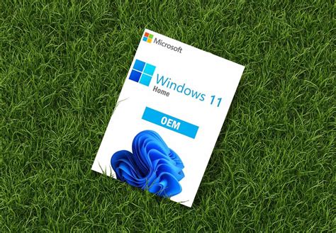 Image result for Cheapest Windows Key