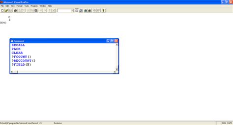 Microsoft Visual FoxPro 6.0 Database Table – Samasto