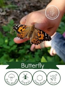 Image result for Bug Sorting