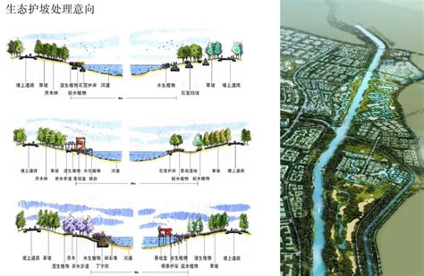 河北省安次龙河湿地公园滨水区景观方案文本 | 铅笔汇-高品质SU模型交流分享平台