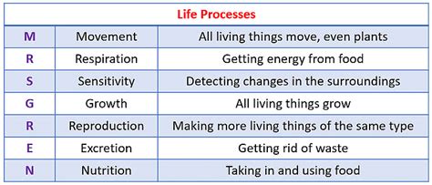 Life Processes: Nutrition and Metabolism - Science Class 10 PDF Download