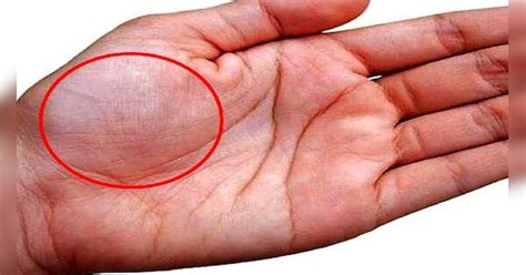 Palmistry: इन लोगों को मिलता है भरपूर प्‍यार और बेशुमार पैसा, क्‍या आप ...