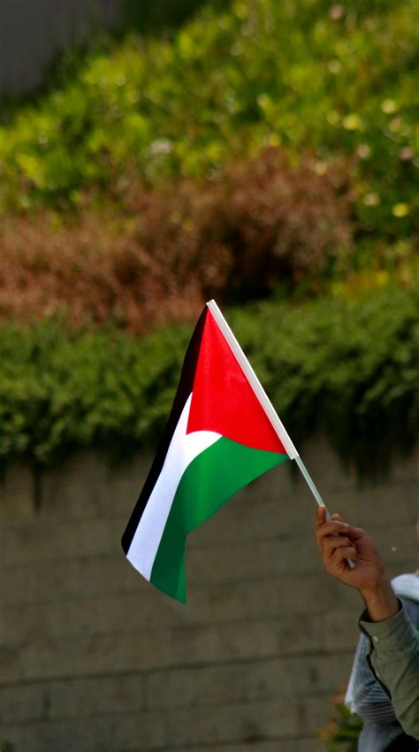 Political Background 的图像结果