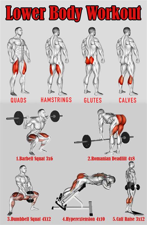 Image result for Lower Body Workout Routine