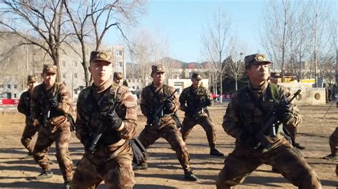 授衔！北京卫戍区某警卫师新兵迎来“成人礼”_凤凰网视频_凤凰网