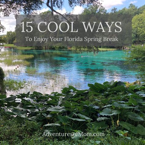 15 Cool Ways to Enjoy Your Florida Spring Break | Adventures of Mom