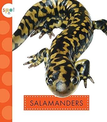 Salamanders : Schuh, Mari: Amazon.in: Books