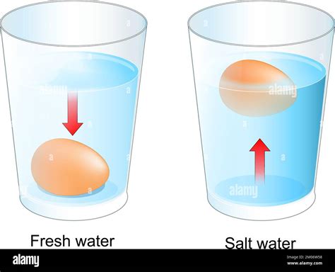 Egg test. Two glasses with Fresh and salt water. experiment for kids ...