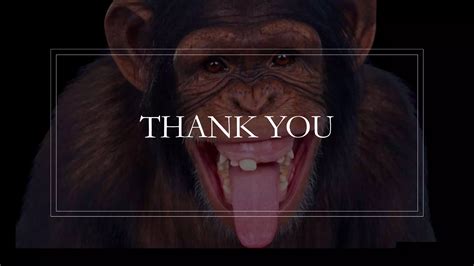 Image result for Syntax Language Conventions