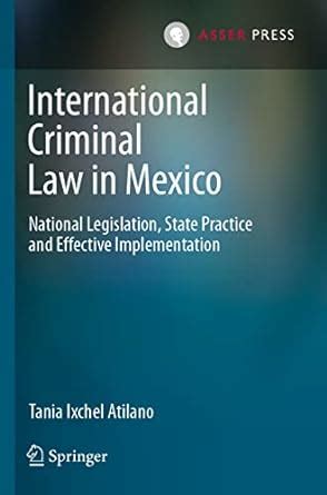 Buy International Criminal Law in Mexico: National Legislation, State ...
